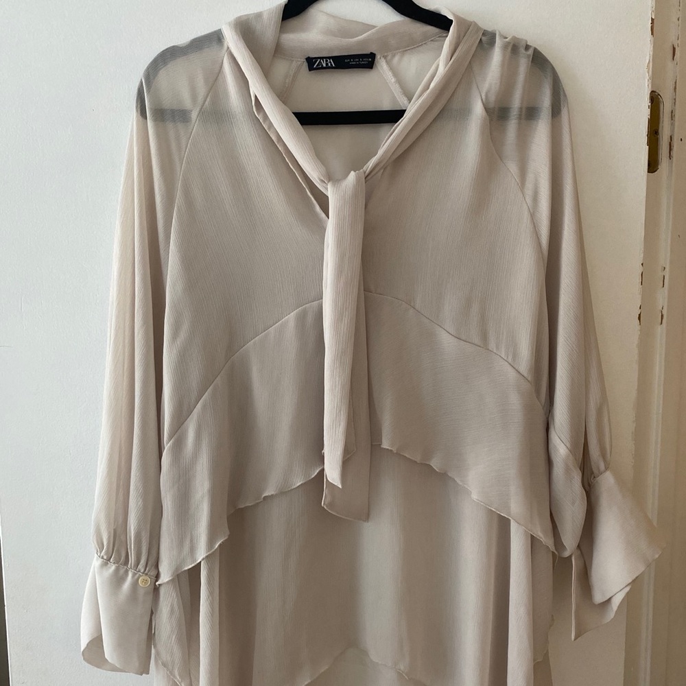 Sheer Zara Top